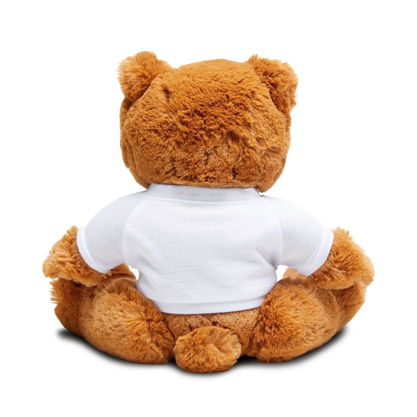 Amon the Ammonite Teddy Bear with T-Shirt - Image 4